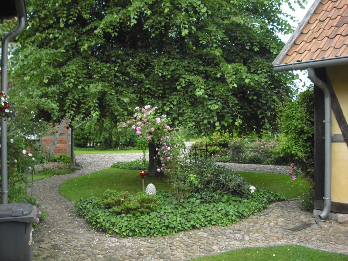 Landhaus Kiesow Apartment Suderburg Exterior foto