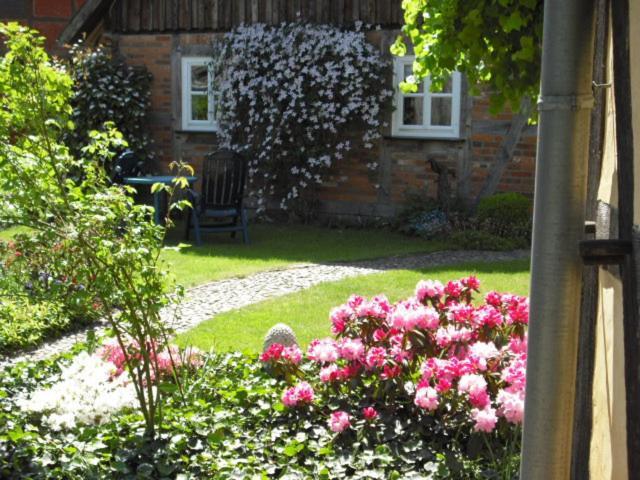 Landhaus Kiesow Apartment Suderburg Exterior foto